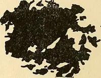 An illustration from The car wheel; giving the results of a series of investigations (1907)