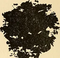 An illustration from The car wheel; giving the results of a series of investigations (1907)