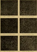 Picture 14 of 92 from The car wheel; giving the results of a series of investigations (1907), leaf 34