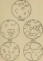 An illustration from The car wheel; giving the results of a series of investigations (1907)
