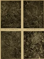 An illustration from The car wheel; giving the results of a series of investigations (1907)