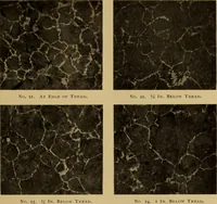 Picture 19 of 92 from The car wheel; giving the results of a series of investigations (1907), leaf 48