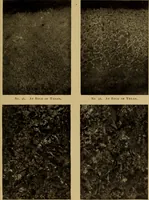 An illustration from The car wheel; giving the results of a series of investigations (1907)