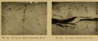 An illustration from The car wheel; giving the results of a series of investigations (1907)
