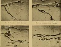 Picture 29 of 92 from The car wheel; giving the results of a series of investigations (1907), leaf 66