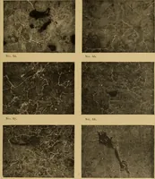 An illustration from The car wheel; giving the results of a series of investigations (1907)