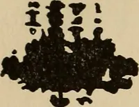 An illustration from The car wheel; giving the results of a series of investigations (1907)