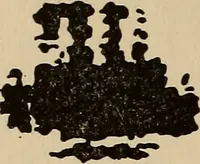 An illustration from The car wheel; giving the results of a series of investigations (1907)