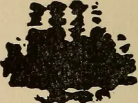 An illustration from The car wheel; giving the results of a series of investigations (1907)