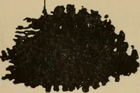 An illustration from The car wheel; giving the results of a series of investigations (1907)
