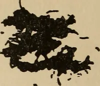 An illustration from The car wheel; giving the results of a series of investigations (1907)