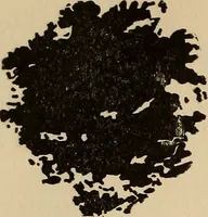 An illustration from The car wheel; giving the results of a series of investigations (1907)