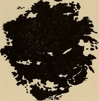 An illustration from The car wheel; giving the results of a series of investigations (1907)