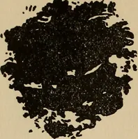 An illustration from The car wheel; giving the results of a series of investigations (1907)