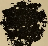 Picture 63 of 92 from The car wheel; giving the results of a series of investigations (1907), leaf 95