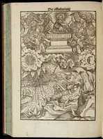An illustration from Das Newe Testament Deůtzsch (1522)