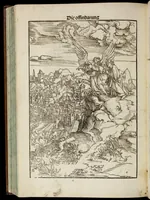 Picture 35 of 35 from Das Newe Testament Deůtzsch (1522), leaf 447