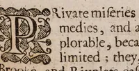 Picture 4 of 17 from The lamentations of Germany (1638), leaf 120
