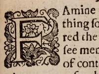 Picture 14 of 17 from The lamentations of Germany (1638), leaf 398