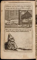 Picture 17 of 17 from The lamentations of Germany (1638), leaf 423