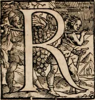 An illustration from Caspari Bauhini ... # Theatri botanici sive Index in Theophrasti Dioscoridis, Plinii et botanicorvm qui à seculo scripserunt opera plantarvm circiter sex millivm ab ipsis exhibitarvm nomina cum earundem synonymijs & differentijs methodice secundum genera & species proponens. Opvs XL. annorvm summopere expetitum ad autoris autographum recensitum (1671)