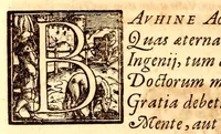 An illustration from Caspari Bauhini viri clariss. Pinax Theatri botanici, sive, Index in Theophrasti, Dioscoridis, Plinij et botanicorum qui à seculo scripserunt opera : plantarum circiter sex millium ab ipsis exhibitarum nomina cum earundem synonymijs & differentijs methodice secundum genera & species proponens : opus XL annorum summopere expetitum ad autoris autographum recensitum (1671)