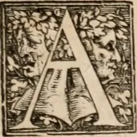 An illustration from Caspari Bavhini ... theatri botanici in qvo plantæ svpra sexcentæ ab ipso primum descriptæ cum plurimis figuris proponuntur (1671)