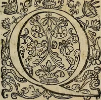 An illustration from Caspari Hofmanni ... Institutionum medicarum libri sex cum duplici indice copiosissimo (1645)