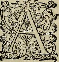 An illustration from Caspari Hofmanni ... Institutionum medicarum libri sex cum duplici indice copiosissimo (1645)