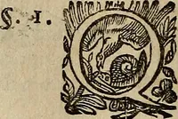 An illustration from Caspari Hofmanni ... Institutionum medicarum libri sex cum duplici indice copiosissimo (1645)