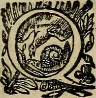 An illustration from Caspari Hofmanni ... Institutionum medicarum libri sex cum duplici indice copiosissimo (1645)