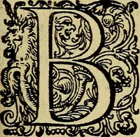 An illustration from Casparis Barlaei Rerum per octennium in Brasilia et alibi gestarum : sub praefectura illustrissimi comitis I. Mauritii Nassaviae &c. comitis, historia (1660)