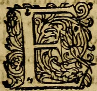An illustration from Casparis Barlaei Rerum per octennium in Brasilia et alibi gestarum : sub praefectura illustrissimi comitis I. Mauritii Nassaviae &c. comitis, historia (1660)