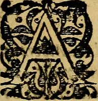 An illustration from Casparis Barlaei Rerum per octennium in Brasilia et alibi gestarum : sub praefectura illustrissimi comitis I. Mauritii Nassaviae &c. comitis, historia (1660)