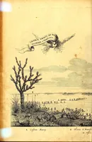 An illustration from Casparis Barlæi, rerum per octennium in Brasilia et alibi nuper gestarum, sub præfectura illustrissimi Comitis I. Mauritii, Nassoviæ, &c. comitis, nunc Vesaliæ gubernatoris & equitatus fderatorum Belgii ordd. sub Auriaco ductoris, historia (1647)