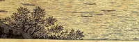 An illustration from Casparis Barlæi, rerum per octennium in Brasilia et alibi nuper gestarum, sub præfectura illustrissimi Comitis I. Mauritii, Nassoviæ, &c. comitis, nunc Vesaliæ gubernatoris & equitatus fderatorum Belgii ordd. sub Auriaco ductoris, historia (1647)