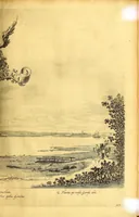 Picture 18 of 52 from Casparis Barlæi, rerum per octennium in Brasilia et alibi nuper gestarum, sub præfectura illustrissimi Comitis I. Mauritii, Nassoviæ, &c. comitis, nunc Vesaliæ gubernatoris & equitatus fderatorum Belgii ordd. sub Auriaco ductoris, historia (1647), leaf 137