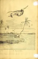 Picture 33 of 52 from Casparis Barlæi, rerum per octennium in Brasilia et alibi nuper gestarum, sub præfectura illustrissimi Comitis I. Mauritii, Nassoviæ, &c. comitis, nunc Vesaliæ gubernatoris & equitatus fderatorum Belgii ordd. sub Auriaco ductoris, historia (1647), leaf 287