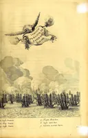 Picture 42 of 52 from Casparis Barlæi, rerum per octennium in Brasilia et alibi nuper gestarum, sub præfectura illustrissimi Comitis I. Mauritii, Nassoviæ, &c. comitis, nunc Vesaliæ gubernatoris & equitatus fderatorum Belgii ordd. sub Auriaco ductoris, historia (1647), leaf 357