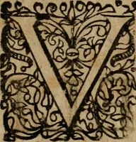 An illustration from Casparis Ziegleri De dote ecclesiae, ejusque juribus & privilegiis : diatribe canonica (1676)