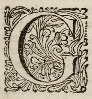 An illustration from Casper van Baarles Oratien en Blijde inkomst van Maria de Medicis : nieuwelijks met zijn gedichten verrijkt (1689)