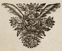 An illustration from Casper van Baarles Oratien en Blijde inkomst van Maria de Medicis : nieuwelijks met zijn gedichten verrijkt (1689)