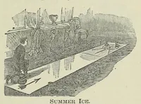 Picture 9 of 14 from Cassell's book of in-door amusements, card games, and fireside fun ; with numerous illustrations (1886), leaf 95