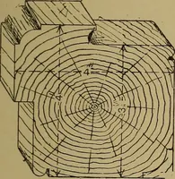 Picture 535 of 1062 from Cassells' carpentry and joinery (1907), leaf 326
