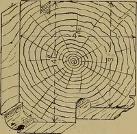 An illustration from Cassells' carpentry and joinery (1907)