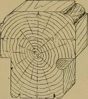 Picture 537 of 1062 from Cassells' carpentry and joinery (1907), leaf 326