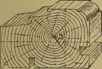 Picture 538 of 1062 from Cassells' carpentry and joinery (1907), leaf 326