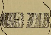 An illustration from Cassells' carpentry and joinery (1907)