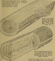 An illustration from Cassells' carpentry and joinery (1907)