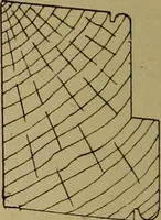 An illustration from Cassells' carpentry and joinery (1907)